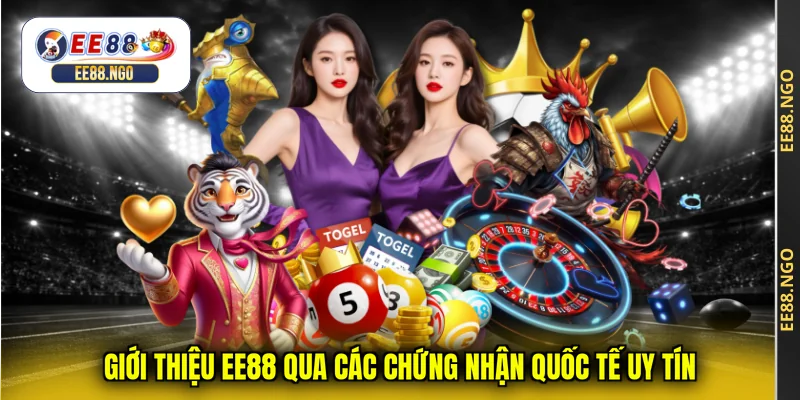 Giới thiệu EE88 qua các chứng nhận quốc tế uy tín