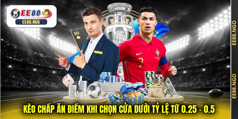 Kèo chấp ăn điểm khi chọn cửa dưới tỷ lệ từ 0.25 - 0.5
