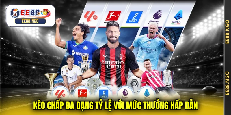 Kèo chấp đa dạng tỷ lệ với mức thưởng hấp dẫn