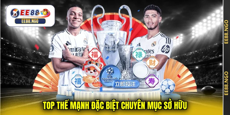 Top thế mạnh đặc biệt chuyên mục sở hữu